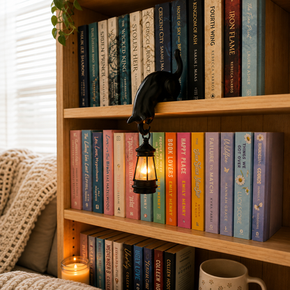 Hanging cat shelf lantern